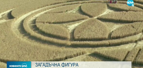 Загадъчна рисунка в нива забавлява хората във Франция (ВИДЕО)