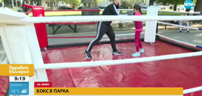 Безплатни уроци по бокс в парка „Заимов” (ВИДЕО)