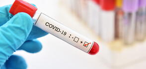 267 са новите случаи на COVID-19 у нас
