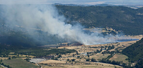 Екстремен риск от пожари е обявен за половин България