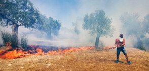 Втори ден продължава борбата с пожара на Пелопонес (ВИДЕО+СНИМКИ)