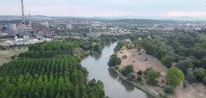 Пробите на водата в река Марица са в норма