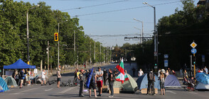 ЗАРАДИ БЛОКАДАТА: Транспортен хаос в цяла София (ВИДЕО+СНИМКИ)