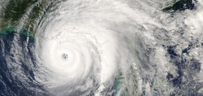 Тропическата буря „Исая” се насочва към Флорида