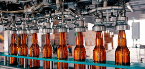 Германска пивоварна спря работа заради щъркелово гнездо върху един от комините й