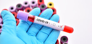 270 нови случая на COVID-19, още 9 души починаха