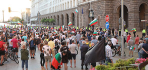 ДЕН 25: Недоволни протестираха в София (ВИДЕО+СНИМКИ)