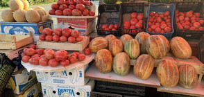 Кои плодове и зеленчуци поскъпнаха през последната седмица?