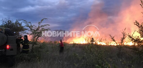 Пожар над село Горно Черковище (ВИДЕО+СНИМКИ)
