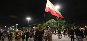 ДЕН 28: Антиправителствените демонстрации продължават (ВИДЕО+СНИМКИ)