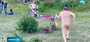 Глиган открадна лаптопа на нудист (ВИДЕО)