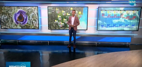 Прогноза за времето (10.08.2020 - следобедна)