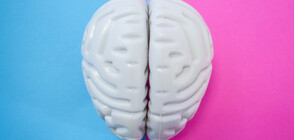 Най-краткият тест за интелигентност: Ще се справите ли с него?