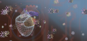 Какви са рисковете за сърцето след заразяване с COVID-19?