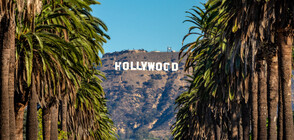 Кой взима най-много пари в Холивуд (ГАЛЕРИЯ)