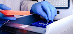 Германия премахна задължителния PCR тест за пристигащите от област Добрич