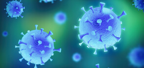Учени: Тестовете и проследяването на контактите са недостатъчни за справяне с коронавируса