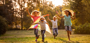 Потрошиха детска площадка в Шумен (ВИДЕО)