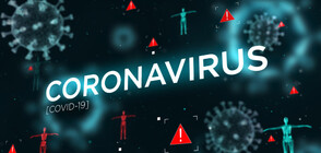 151 нови случая на коронавирус у нас (ВИДЕО)