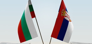 Serbia denies information about construction of fence at border with Bulgaria