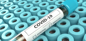 COVID-19 morbidity decreases by nearly 48%