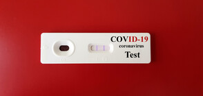 Сърбия вече не изисква PCR тест за транзитно преминаващи от България