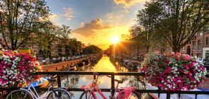 Инсталираха конопени тоалетни в Амстердам (СНИМКИ)