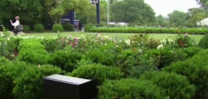 Mелания Tръмп реновира розовата градина на Белия дом