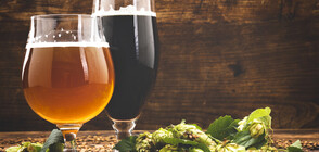 Глобалното затопляне с неочакван ефект върху бирата