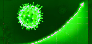 Рекорден брой нови заразени с коронавирус във Франция