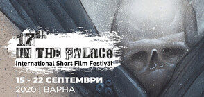 9-членно жури на IN THE PALACE International Short Film Festival