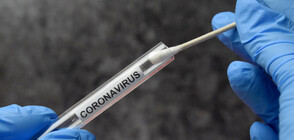 163 са новите случаи на коронавирус у нас