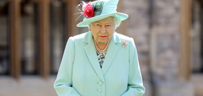 РАЗДЕЛЕНИ ОТ СТЪКЛО: Кралица Елизабет се срещна с внуците си при строги мерки