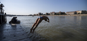 Стотици се гмурнаха във водите на Дунав (ВИДЕО)