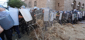 Демонстранти замеряха полицията със сено в Триъгълника на властта (СНИМКИ)