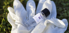 ОЗХО обезпокоена от доказателствата за "Новичок" при отравянето на Навални