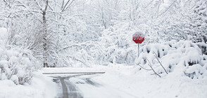 Силен снеговалеж изненада американския щат Уайоминг (ВИДЕО+СНИМКИ)