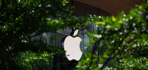 Apple отваря първия си магазин върху вода (ВИДЕО+СНИМКИ)