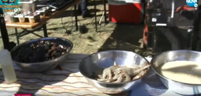 Фестивал на рибата и виното в Бургас (ВИДЕО)