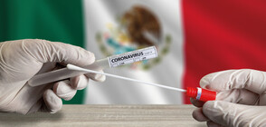 Мексико с над 400 починали с COVID-19 за ден