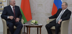 Среща на четири очи между Лукашенко и Путин в Сочи