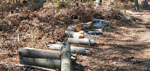 Гешев: Време е да спрем унищожението на природата