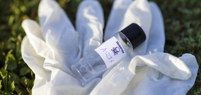 Случаят "Навални": Две лаборатории потвърдиха отравяне с "Новичок" (ВИДЕО)