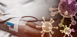 СЗО очаква повишение на смъртността от COVID-19 през есента