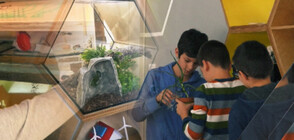 Класна стая сред змии и гущери посреща ученици в Берковица (ВИДЕО)
