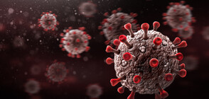 Тестват за COVID-19 670 души от предприятие в Ямбол