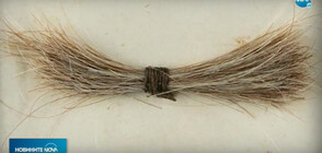 Кичур коса на Линкълн беше продаден на търг за 81 000 долара