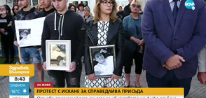 Отложиха делото за смъртта на Алекс от Бяла