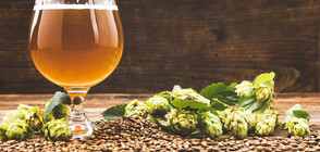 Кои са страните с най-много пивоварни?