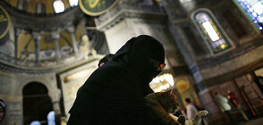 Котката на „Света София“ се разболя (СНИМКИ)